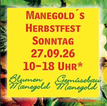 Pinnwand Bild